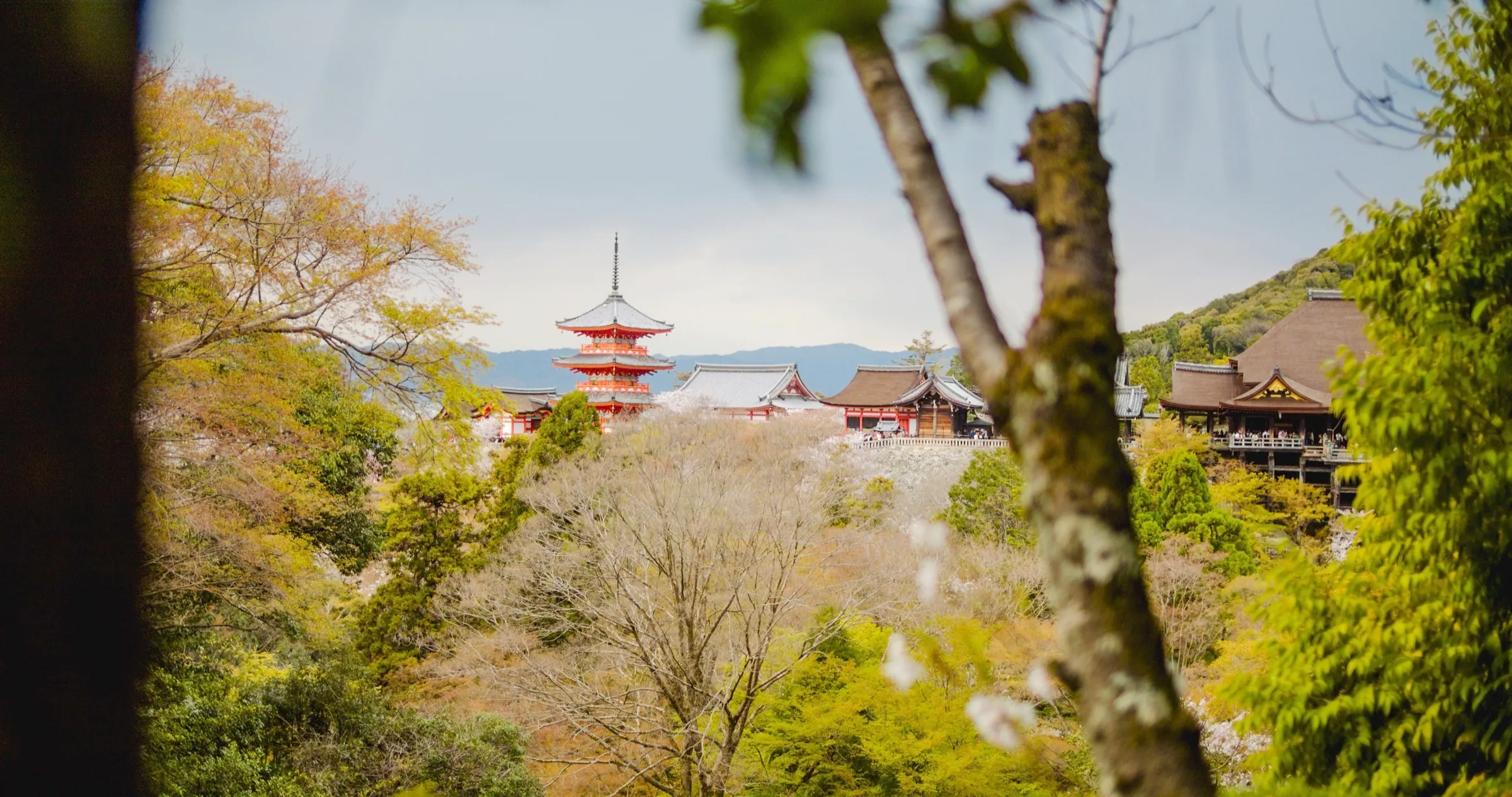 Pagoda mezi tradiční architekturou v Kjótu